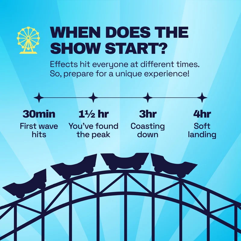 When does the show start: first wave at 30 minutes, peak at 90 minutes, soft landing at 4 hours