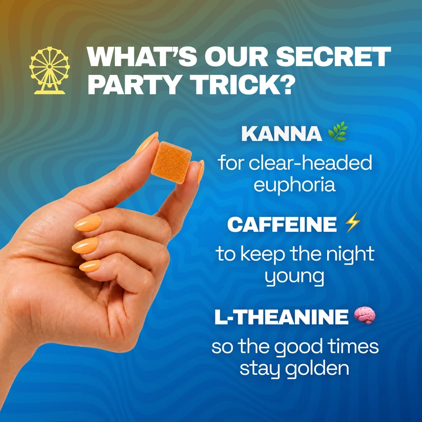 What's our secret party trick: kanna for clear-headed euphoria, caffeine and L-theanine