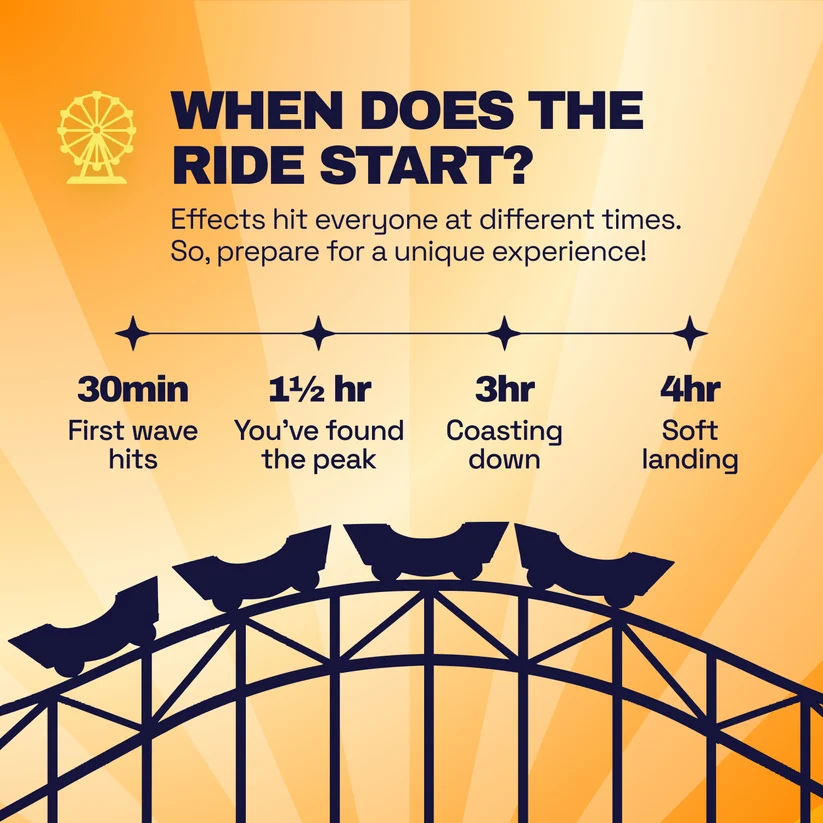 When does the ride start: first wave at 30 minutes, peak at 1.5 hours, coasting at 3 hours, soft landing at 4 hours