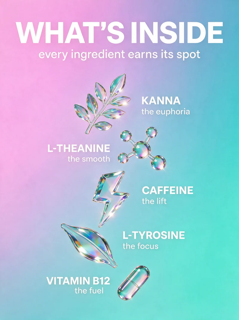 What's inside SOHI: kanna, L-theanine, caffeine, L-tyrosine and vitamin B12